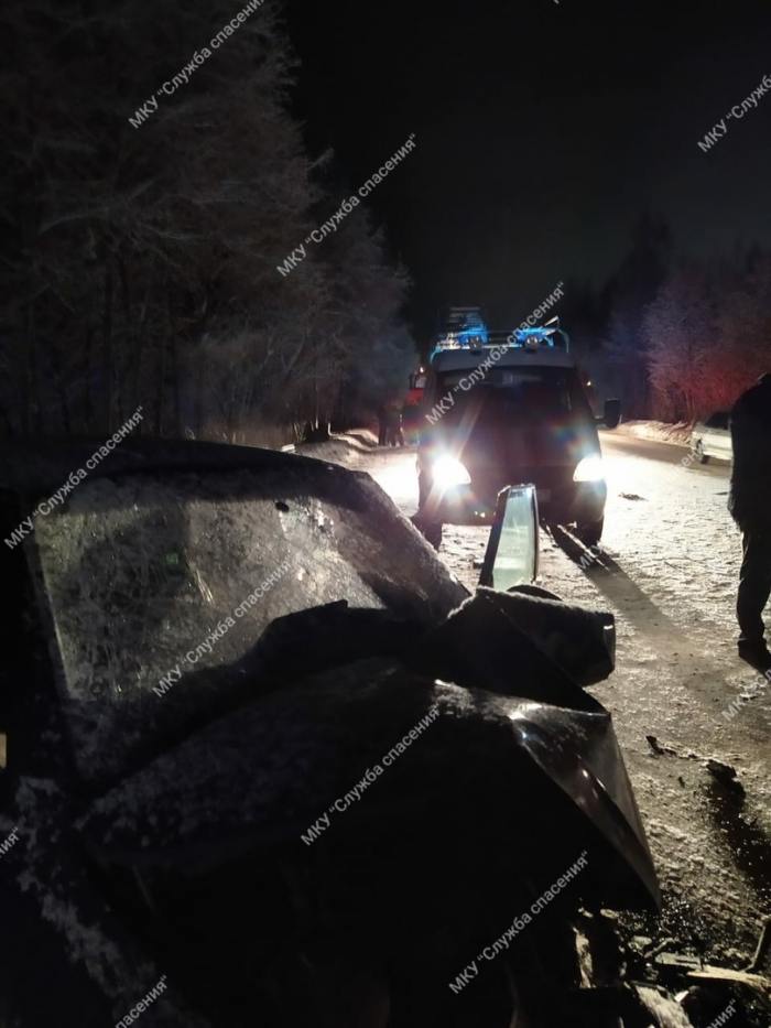 В ДТП на юге Архангельской области погибла женщина